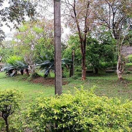 Aligama Cottage Talakolawela エクステリア 写真