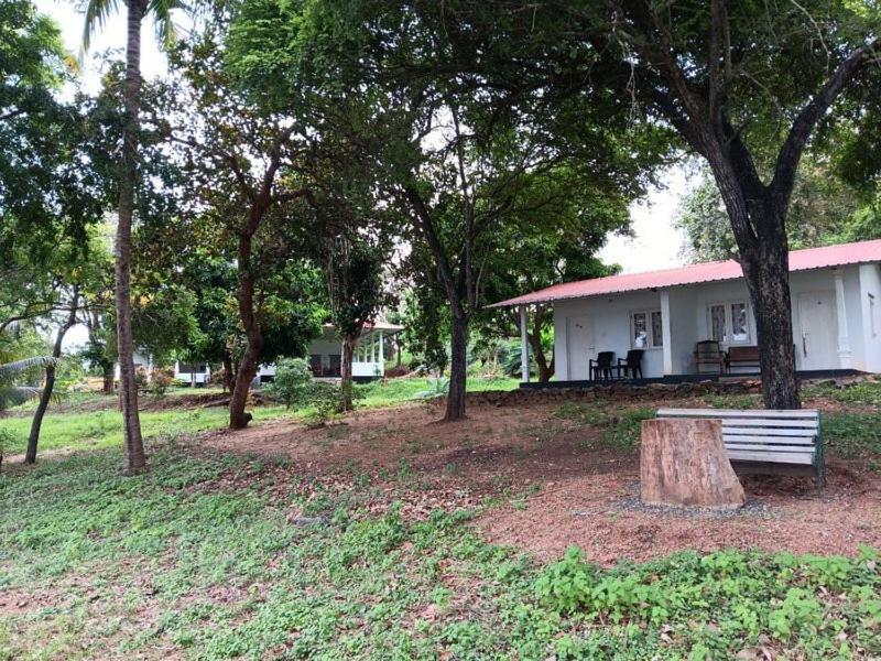 Aligama Cottage Talakolawela エクステリア 写真