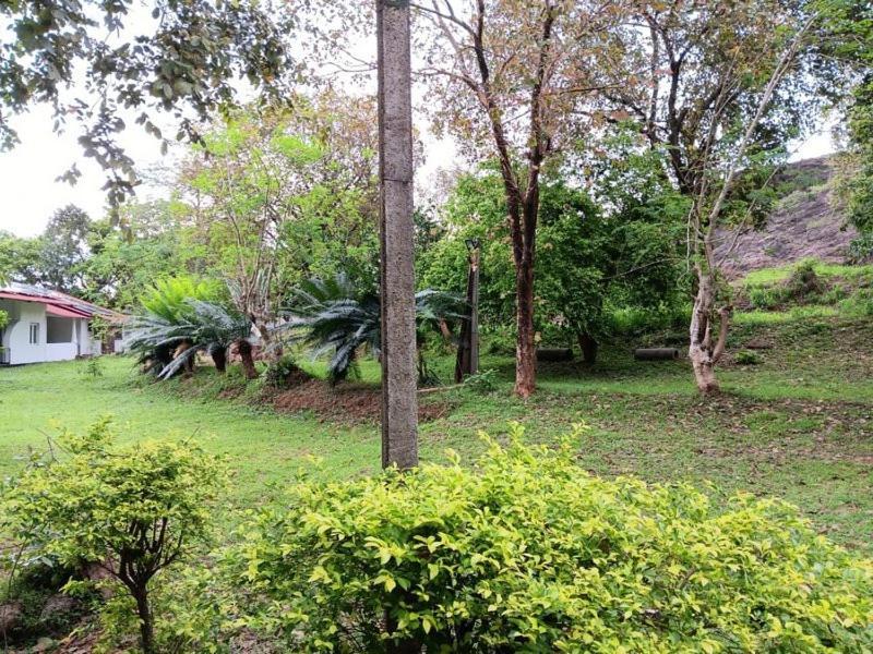 Aligama Cottage Talakolawela エクステリア 写真