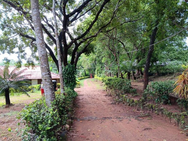 Aligama Cottage Talakolawela エクステリア 写真